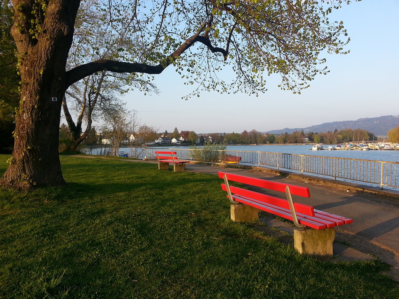 動球迷的心 動球迷的心