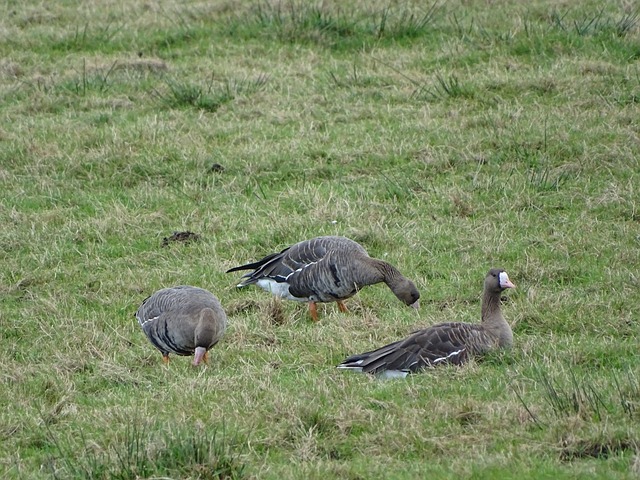 鲜明的对攻 鲜明的对攻