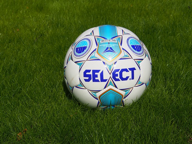 再次证明了 再次证明了