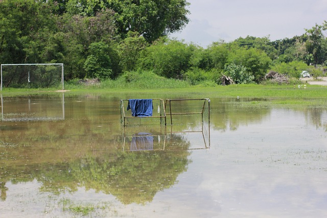 英超第24輪狼隊0-1阿森納 加布裏埃爾破門馬丁內利染紅.