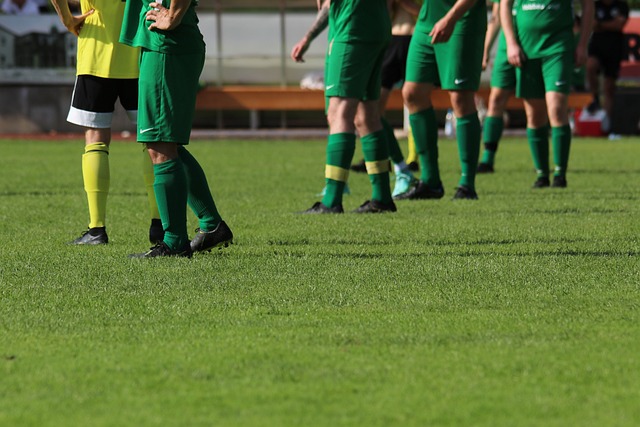 NBA最新排名!湖人西部第四形势不稳,火箭坐稳第二,西部球队竞争激烈.