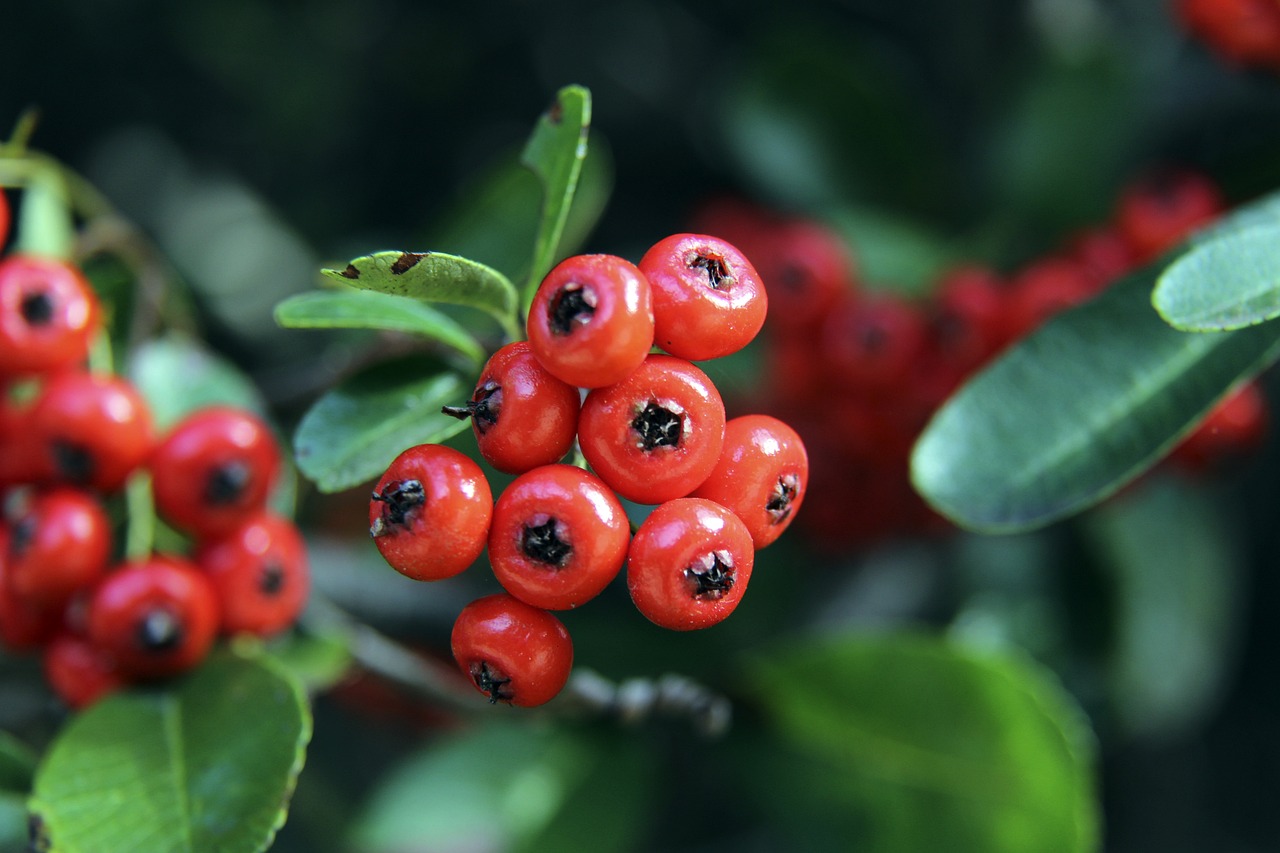 效的篮板拼 效的篮板拼