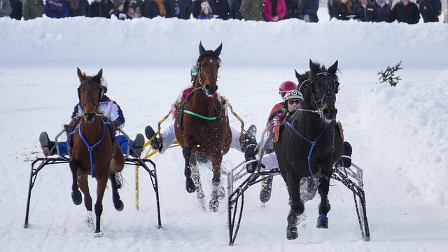 叙事方式 叙事方式