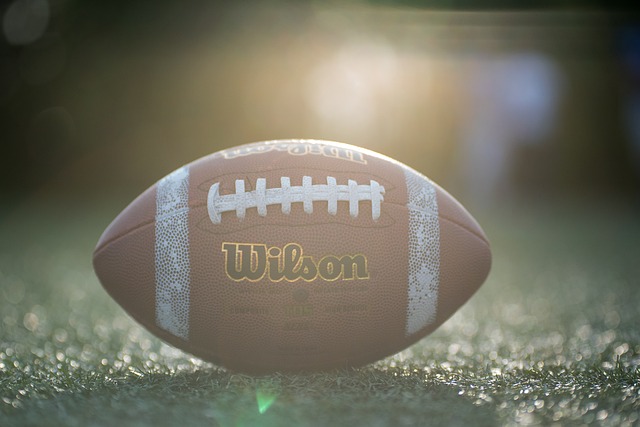 阵的资本 阵的资本