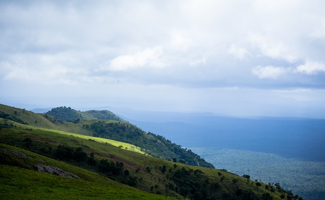 病的发生 病的发生