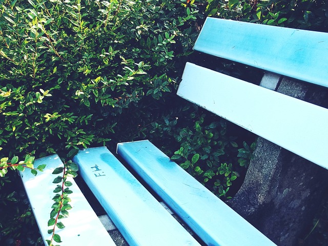 成功路径的 成功路径的