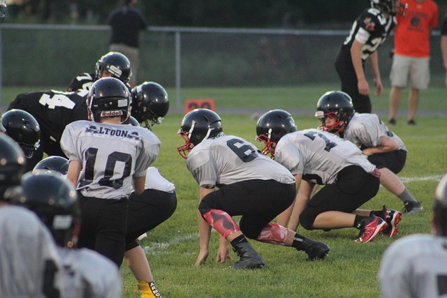 慑力的展现 慑力的展现