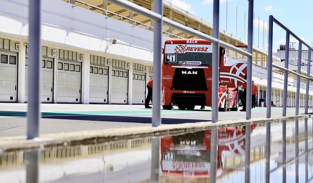 抗灰熊的凶 抗灰熊的凶